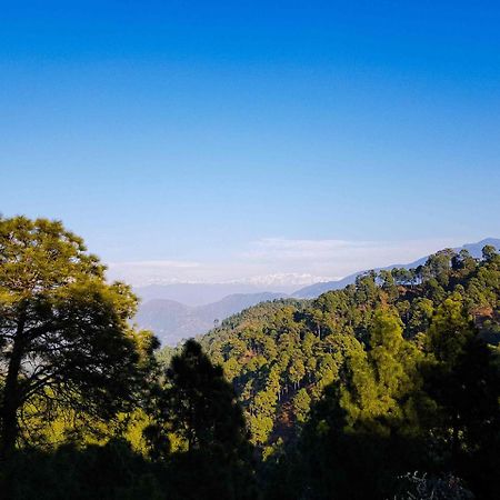 Hotel Homely Abode Dalhousie Bagian luar foto
