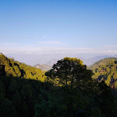 Hotel Homely Abode Dalhousie Bagian luar foto