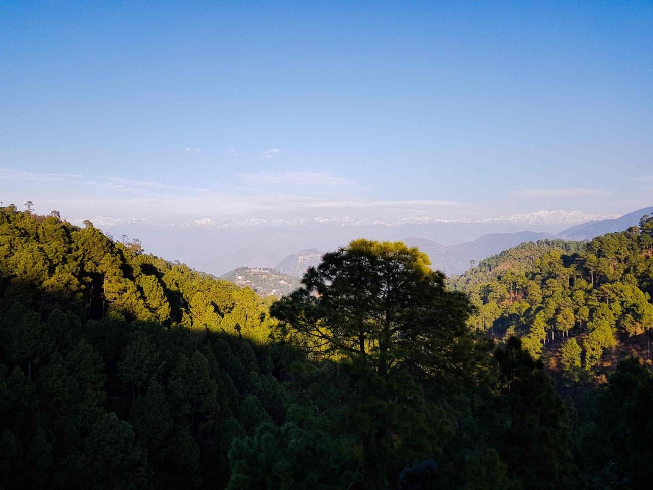 Hotel Homely Abode Dalhousie Bagian luar foto